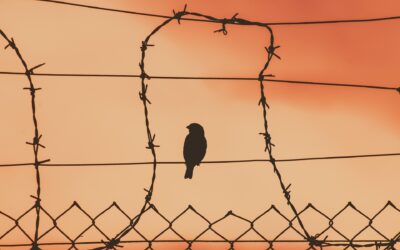 „Niemand kann dich ohne deine Zustimmung klein machen“ – ein Satz, der mehr verlangt, als er verspricht